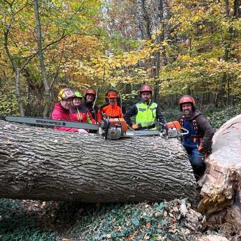 Kursteilnehmer nach erfolgreicher Praxisübung - Veröffentlichung mit Einverständnis Teilnehmer Motorsägenkurs Niedersachsen bei Praxisübung im Wald